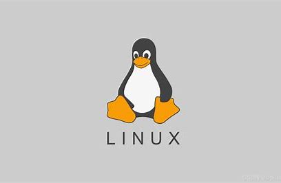 Exporter二次开发